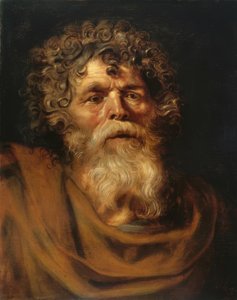 ひげを生やした老人の肖像画 作： Peter Paul Rubens
