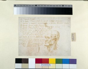 皇帝ガルバの特徴を持つエコルシェの頭部（白紙にペンと茶色のインク 作： Peter Paul Rubens