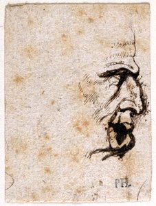 ガルバ、最初の12人のカエサルのうち8人の10枚の絵から、ジョヴァンニ・ダ・カヴィーノのメダルの後に（紙にペンとインク 作： Peter Paul Rubens