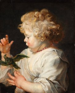 ドイツ語：鳥を連れた子供の肖像 鳥を連れた子供 作： ピーター・ポール・ルーベンス