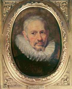 老人の頭（カナブの油） 作： Peter Paul Rubens
