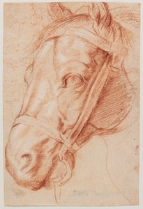  作： Peter Paul Rubens