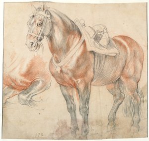 鞍馬c。 1616-1618 作： Peter Paul Rubens