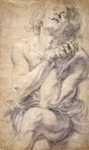 座っている男性の青年（ダニエルのための研究） 作： Peter Paul Rubens