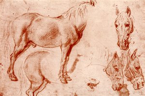 馬の研究、1913年。 作： Peter Paul Rubens