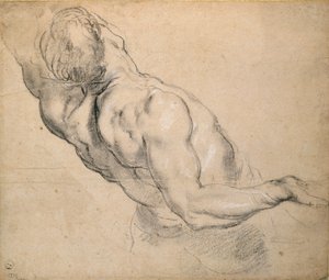 裸の男性の胴体の研究、1600-1640