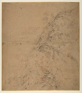 ブランブルと他の植物を持つブラックソーンの研究、1620年頃 作： Peter Paul Rubens