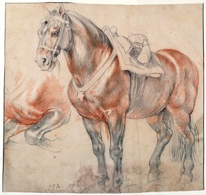 「ピーテル・パウル・ルーベンス（1577-1640）のアクアレル（1616-1618年） Vienne Bibliotheque albertina 作： Peter Paul Rubens