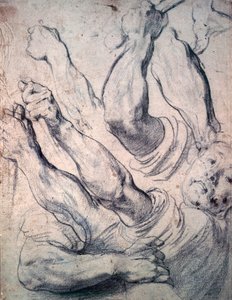 不明な画像 作： Peter Paul Rubens