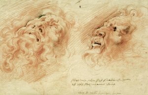 ラクーンの頭の後の2つの研究 作： Peter Paul Rubens