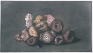 ドライフラワーの静物画（カラーメゾチント 作： Peter Vilhelm Ilsted