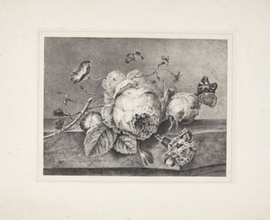 花の静物 作： Petronella van Woensel