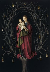 乾いた木の聖母、1465年頃 作： Petrus Christus