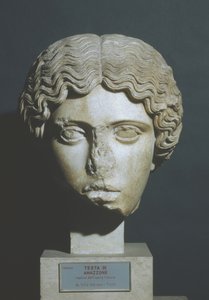 アマゾンの頭 作： Phidias Phidias