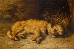 ボーダーテリアの子犬 作： Philip Eustace Stretton