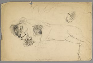 眠れる獅子（紙に黒鉛） 作： Philip H. Wolfrom