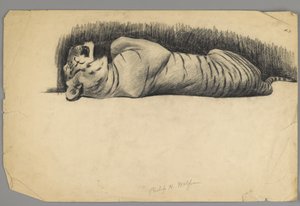 眠れる虎（紙に木炭） 作： Philip H. Wolfrom