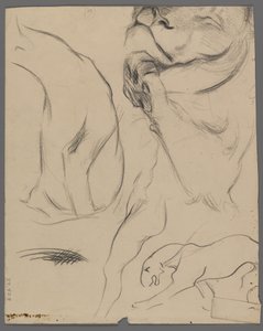 ライオンの研究（紙の上のグラファイト） 作： Philip H. Wolfrom