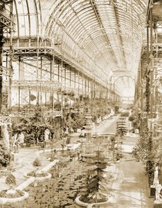 1859 年頃、南端のクイーンズ スクリーンの上の回廊から撮影された身廊の内部 (b/w 写真) 作： Philip Henry Delamotte