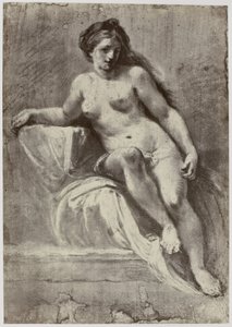 ズッカレッリ、研究 作： Philip Henry Delamotte