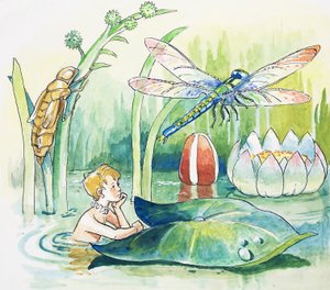 トンボ、チャールズ・キングズレー著「The Water Babies」より挿絵