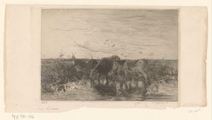 牧草地の水の近くの牛 Vaches au bord de l
