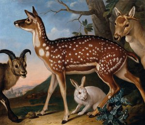 ダマジカ、アイベックス、ノウサギ 作： Philipp Ferdinand de Hamilton