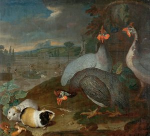モルモットとモルモット 作： Philipp Ferdinand de Hamilton
