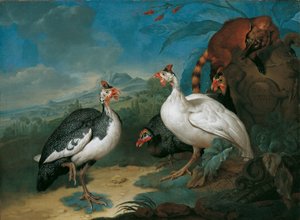 ホロホロチョウとハナグマ 作： Philipp Ferdinand de Hamilton