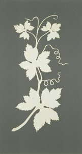 ホップ植物（紙にコラージュ） 作： Philipp Otto Runge