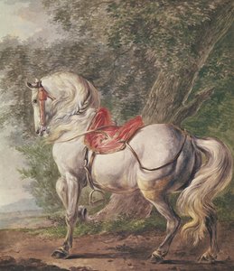 白い馬 作： Philips Wouwerman
