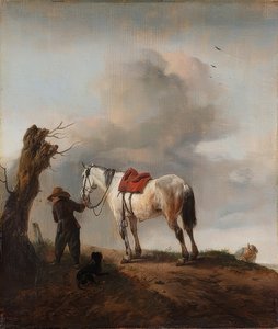 白い馬、カビ。 1646年頃