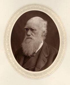 チャールズ ダーウィンの肖像 1809 ～ 1882 年、1877 年。 作： Photo studio Lock and Whitfield
