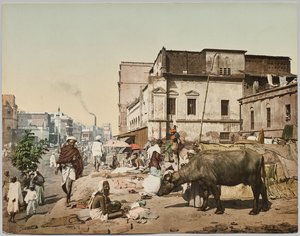 インド。 カルカッタ。 カート・ベック博士による写真の後、ジョギーのグループとハリソン・ロードI 作： Photoglob Co. (Zurich, active c. 1890 1910)