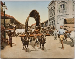 インド。 セイロン。 コロンボ。 Kurt Boeck博士による写真の後、ストリートシーン 作： Photoglob Co. (Zurich, active c. 1890 1910)