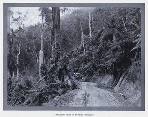 サザン・ギップスランドの山道（モノクロ写真 作： Photographer Australian
