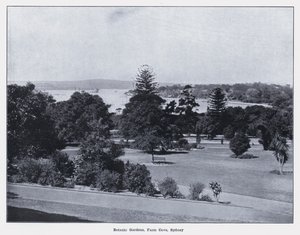 Botanic Gardens, Farm Cove, Sydney (モノクロ写真) 作： Photographer Australian