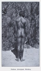 好奇心旺盛なアボリジニのマーキング（モノクロ写真 作： Photographer Australian