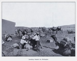 ラクダを積んでヌラギーンへ（モノクロ写真 作： Photographer Australian
