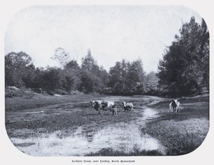 Lockyer Creek, Laidley, South Queensland (bw/photo) 作： Photographer Australian