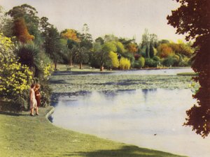 メルボルン植物園（カラー写真） 作： Photographer Australian