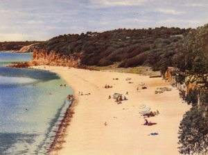 モーニントン・ビーチ（カラー写真） 作： Photographer Australian