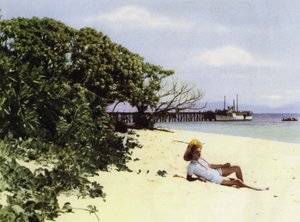 オーストラリア・クイーンズランド州。トロピカルビーチ（写真 作： Photographer Australian