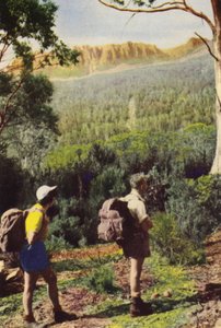 タスマニア：オリンパス山近くのハイカー（カラー写真） 作： Photographer Australian