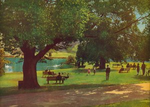 メルボルンの植物園（カラー写真）