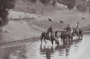 The Rest, Typical Australian Stockmen (b/w photo) 作： Photographer Australian