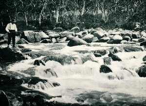 1900年頃、ニュー・サウス・ウェールズ州ジンダバインのスノーウィー川のトラウト・ラピッド（メルボルンの外務省発行の「Under the Southern Cross - Glimpses of Australia」より）。 作： Photographer Australian