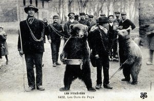 ピレネー山脈の熊のショー、1900年頃（モノクロ写真） 作： 写真家フランス人