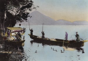 日本、1912年頃。長良川での鵜飼（写真