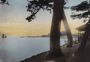 日本、1912年頃。神戸近郊の舞妓さん（写真 作： Photographer Japanese